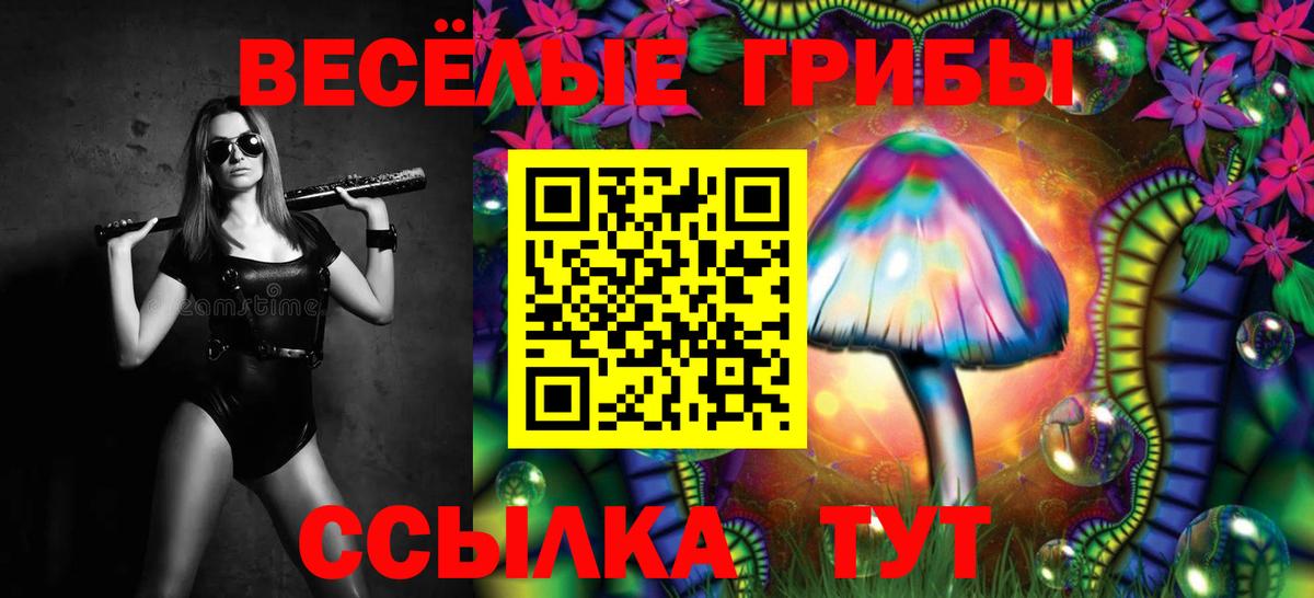 Псилоцибиновые грибы GOLDEN TEACHER  Псилоцибиновые грибы мухоморы  Вход с VPN  Богородицк 